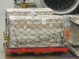 Thai Airlines A330-600